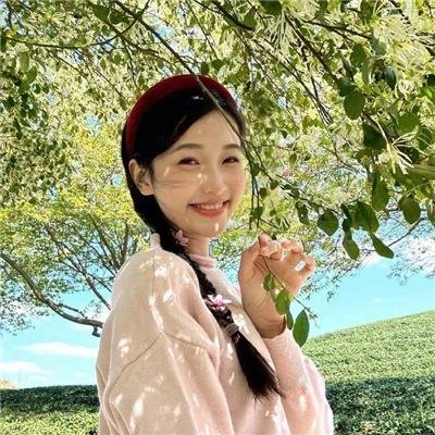 延禧攻略番外篇之金枝玉叶